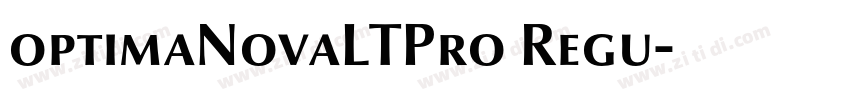 optimaNovaLTPro Regu字体转换